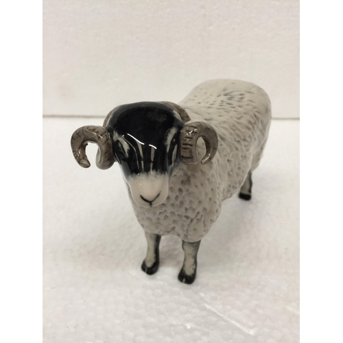 787 - A JOHN BESWICK BLACK FACED EWE - 14CM WIDE X 12CM