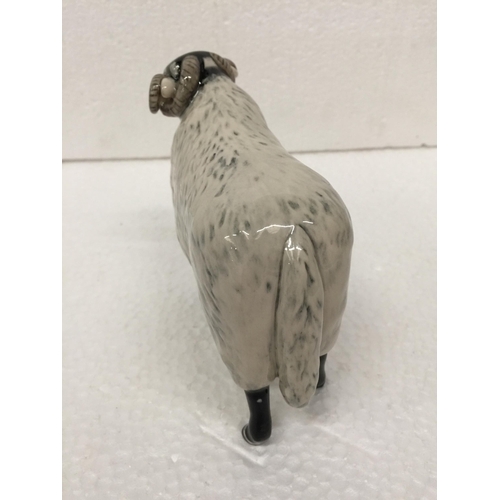 787 - A JOHN BESWICK BLACK FACED EWE - 14CM WIDE X 12CM