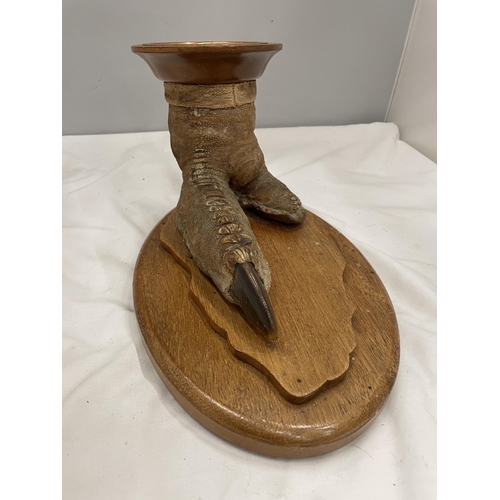 25A - A TAXIDERMY OSTRICH FOOT ON AN OAK BASE MOUNTED WITH AN OAK PLINTH WITH BAIZE BASE AND A COPPER TRAY... 