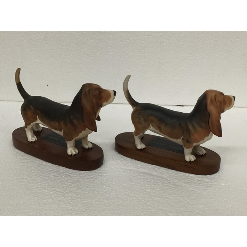 909 - TWO BESWICK BASSETT HOUNDS ON PLINTHS