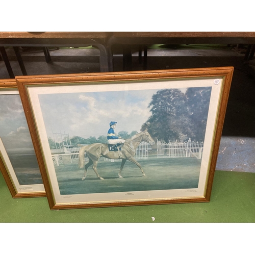 1010 - THREE FRAMED PRINTS OF RACEHORSES - NIJINSKY LESTER PIGGOTT UP, GRUNDY, PAT EDDERY UP AND ARKLE, PAT... 