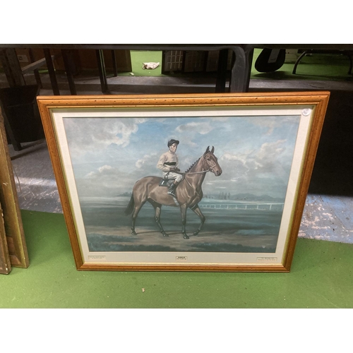 1010 - THREE FRAMED PRINTS OF RACEHORSES - NIJINSKY LESTER PIGGOTT UP, GRUNDY, PAT EDDERY UP AND ARKLE, PAT... 