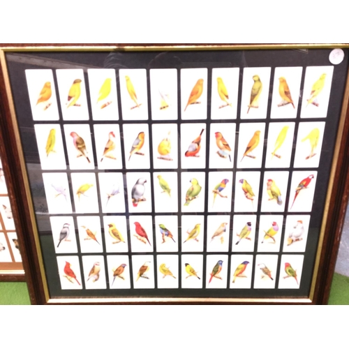 1069 - THREE FRAMED SETS OF CIGARETTE CARDS - AVIARY AND CAGE BIRDS AND TWO DOGS