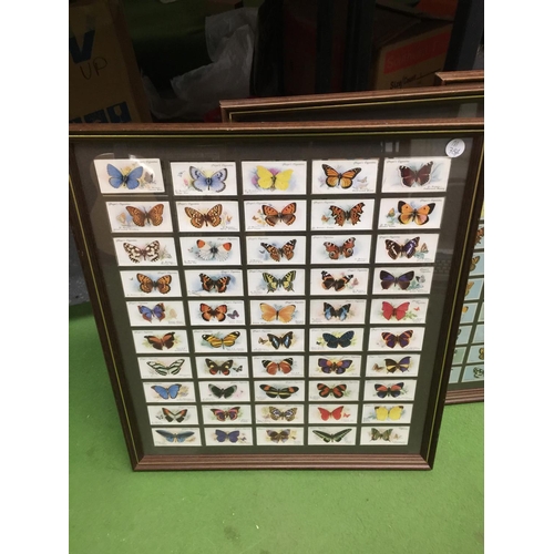 1106 - THREE FRAMED SETS OF CIGARETTE CARDS - BUTTERFLIES AND ROSES