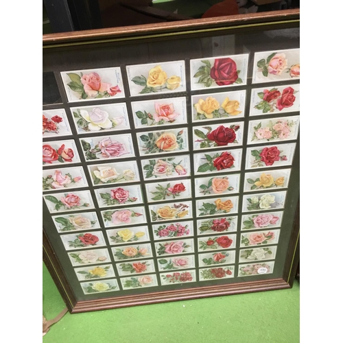 1106 - THREE FRAMED SETS OF CIGARETTE CARDS - BUTTERFLIES AND ROSES