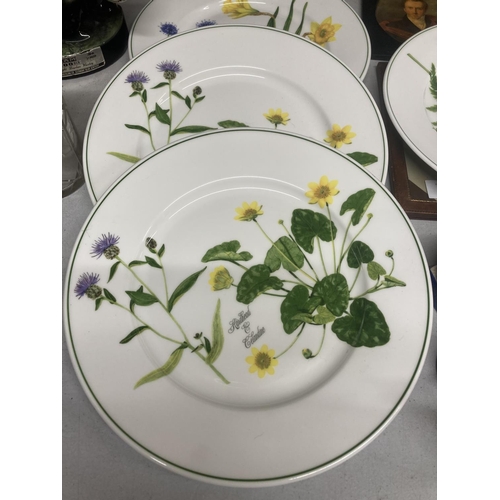 967 - FOUR PORTMEIRION CABINET PLATES - 'WELSH WILD FLOWERS' BY ANGHARAD MENNA