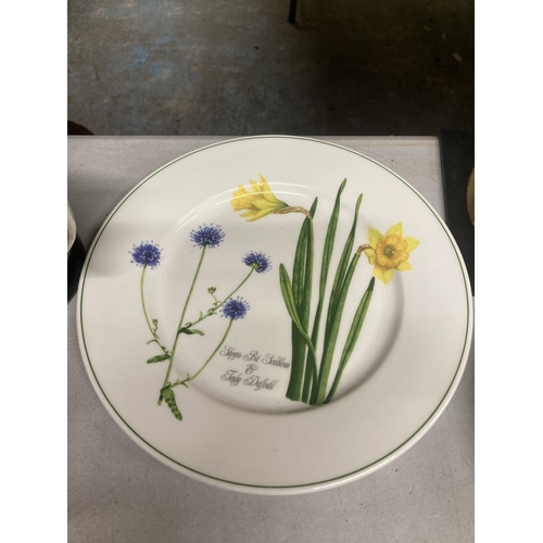 967 - FOUR PORTMEIRION CABINET PLATES - 'WELSH WILD FLOWERS' BY ANGHARAD MENNA