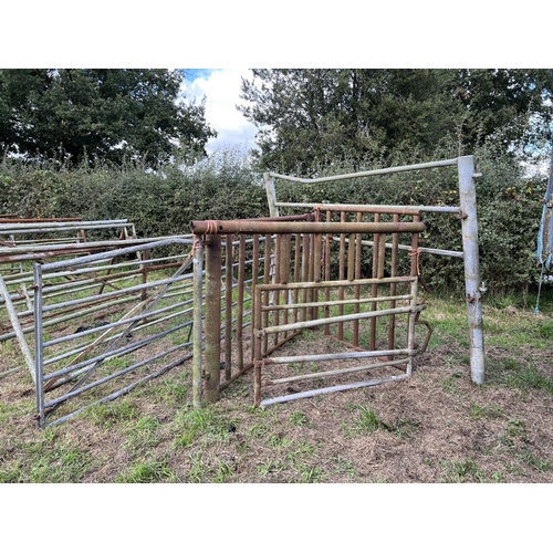 168 - GATE AND PART BULL PEN  NO VAT