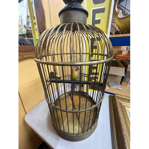 47 - A LARGE VINTAGE BRASS PARROT/BIRD CAGE HEIGHT APPROXIMATELY 100CM