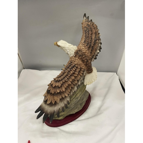 56A - A RESIN FIGURE OF A BALD EAGLE IN HUNTING FLIGHT