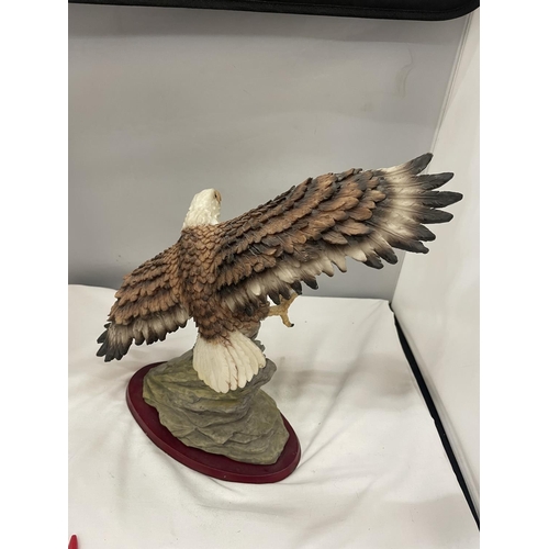 56A - A RESIN FIGURE OF A BALD EAGLE IN HUNTING FLIGHT