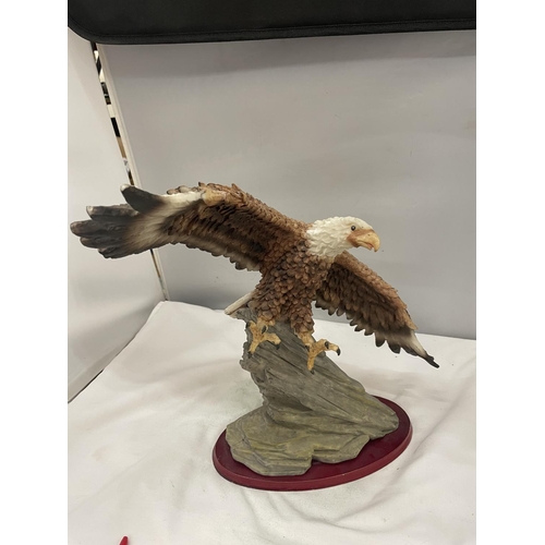 56A - A RESIN FIGURE OF A BALD EAGLE IN HUNTING FLIGHT