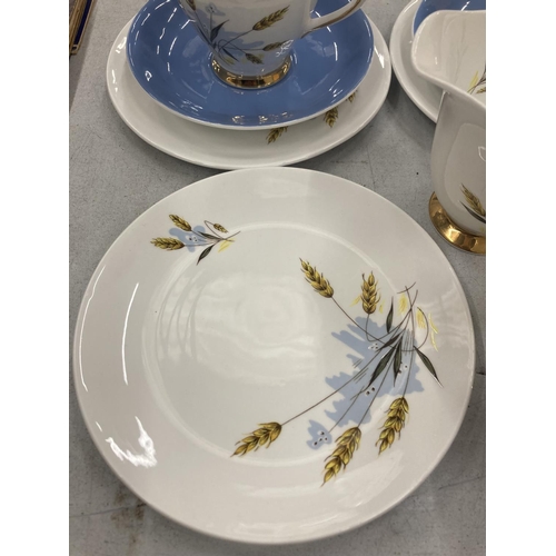 254 - A WINDSOR CHINA 'WINDSWEPT' PART TEASET TO INCLUDE CUPS, SAUCERS, SIDE PLATES, CREAM JUG AND SUGAR B... 