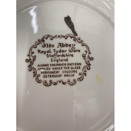 258 - A QUANTITY OF ROYAL TUDOR WARE CABINET PLATES TO INCLUDE 'OLDE ABBEY'