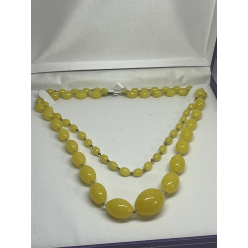 532 - A VINTAGE DOUBLE STRAND BUTTERSCOTCH AMBER  NECKLACE IN A PRESENTATION BOX