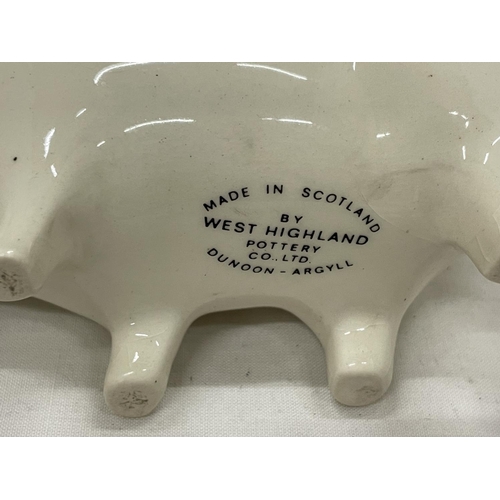 40 - A VINTAGE WEST HIGHLAND POTTERY SOUVENIR EDINBURGH PIGGY BANK