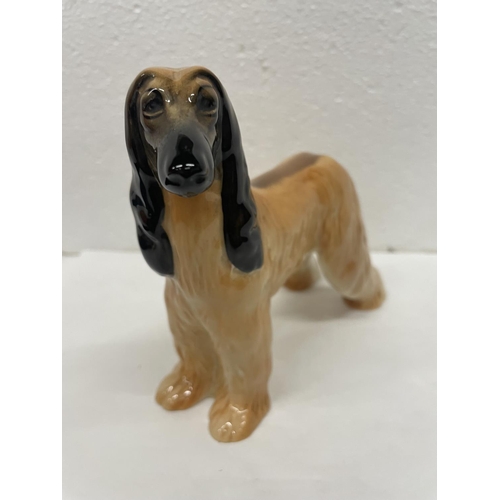 423 - A BESWICK AFGHAN HOUND HAJUBAH OF DAVLEN