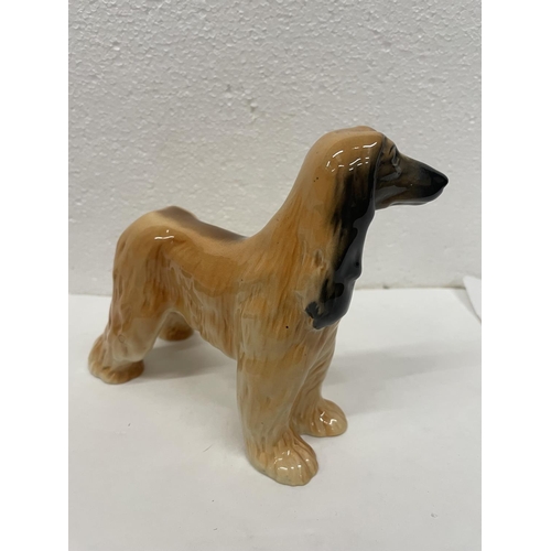 423 - A BESWICK AFGHAN HOUND HAJUBAH OF DAVLEN