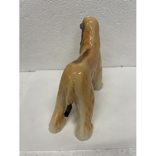 423 - A BESWICK AFGHAN HOUND HAJUBAH OF DAVLEN