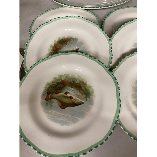 952 - SIX WOODS IVORY WARE FISH PLATES TOGETHER WITH LARGE PLATTER