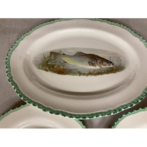 952 - SIX WOODS IVORY WARE FISH PLATES TOGETHER WITH LARGE PLATTER