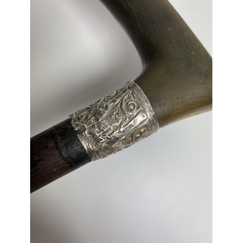 13 - AN ANTIQUE HORN EFFECT EBONISED WALKING STICK WITH HALLMARKED SILVER FERRULE, 85CM LENGTH