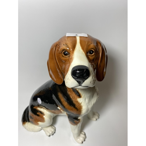 4 - A LARGE BESWICK FIRESIDE CERAMIC MODEL OF A BEAGLE, MODEL NO. 2300