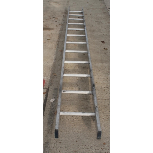 36 - 12 RUNG SINGLE ALUMINIUM LADDER  NO VAT