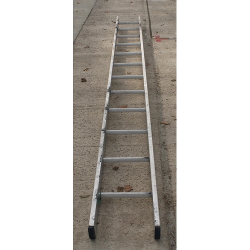 36 - 12 RUNG SINGLE ALUMINIUM LADDER  NO VAT