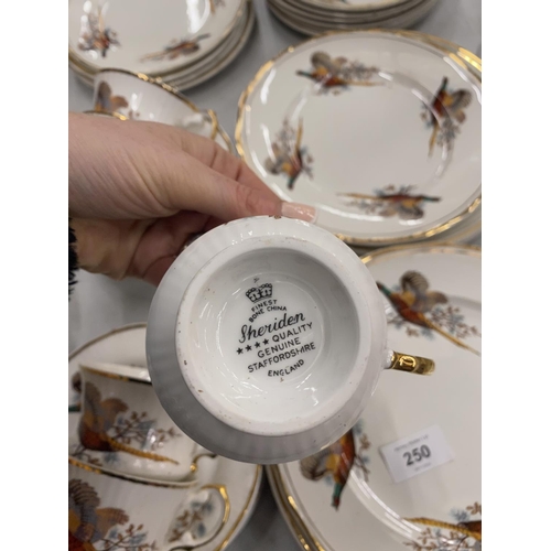 250 - A SHERIDAN PART TEASET TO INCLUDE VARIOUS SIZED PLATES, CUPS AND SAUCERS WITH PHEASANT DESIGN