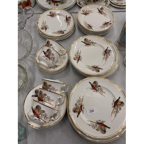 250 - A SHERIDAN PART TEASET TO INCLUDE VARIOUS SIZED PLATES, CUPS AND SAUCERS WITH PHEASANT DESIGN