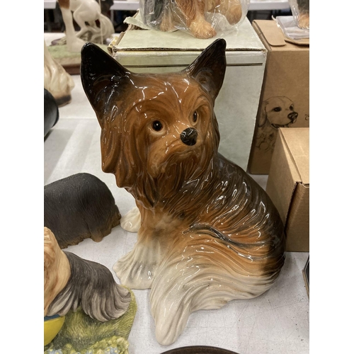 156 - A LARGE QUANTITY OF CERAMIC AND RESIN YORKSHIRE TERRIER DOGS TO INCLUDE SHERRATT AND SIMPSON, COUNTR... 