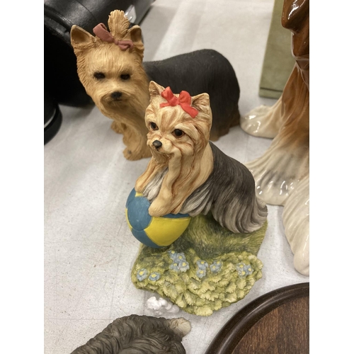 156 - A LARGE QUANTITY OF CERAMIC AND RESIN YORKSHIRE TERRIER DOGS TO INCLUDE SHERRATT AND SIMPSON, COUNTR... 