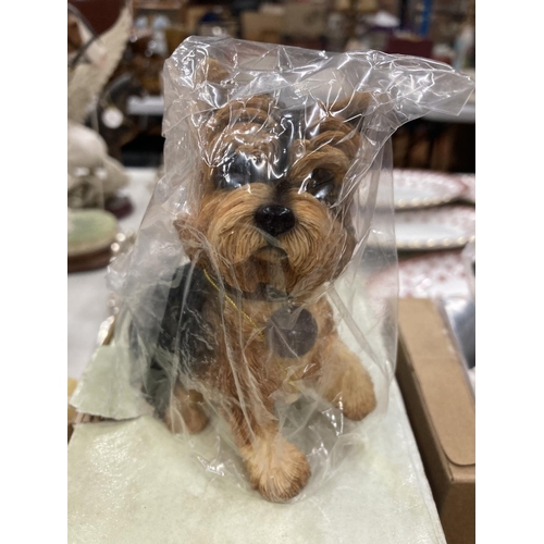 156 - A LARGE QUANTITY OF CERAMIC AND RESIN YORKSHIRE TERRIER DOGS TO INCLUDE SHERRATT AND SIMPSON, COUNTR... 