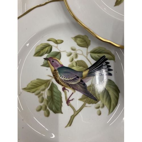 191 - FOURTEEN SPODE, BIRD RELATED CABINET PLATES