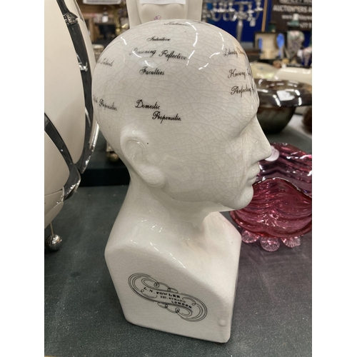 121 - A PHRENOLOGY HEAD HEIGHT 20CM