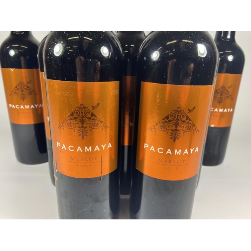 378 - 8 X 75CL BOTTLES - PACAMAYA CHILEAN MERLOT RED WINE