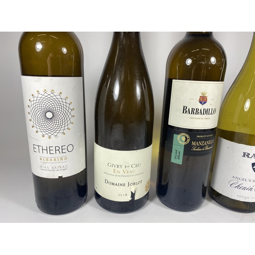 391 - 5 X MIXED 75CL BOTTLES - ETHEREO, DOMAINE JOBLOT, BARRADILLO, RAATS & FIANO WHITE WINES