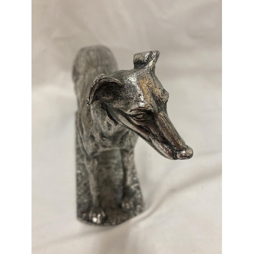 150 - A SILVER CHROMED FIGURE OF A STANDING GREYHOUND HEIGHT 14CM