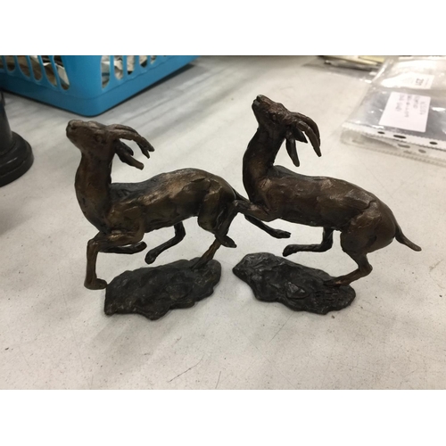 229 - A PAIR OF PAUL JENKINS BRONZE MOUNTAIN GOATS HEIGHT 8.5CM