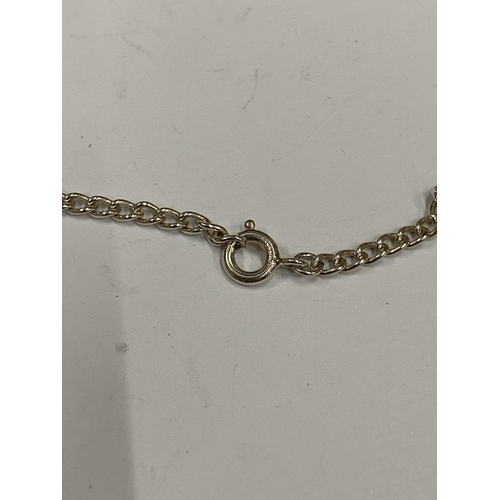 35 - A SILVER CHAIN & T-BAR