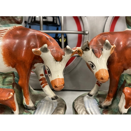 48 - A PAIR OF 19TH CENTURY STAFFORDSHIRE POTTERY COW SPILL VASES