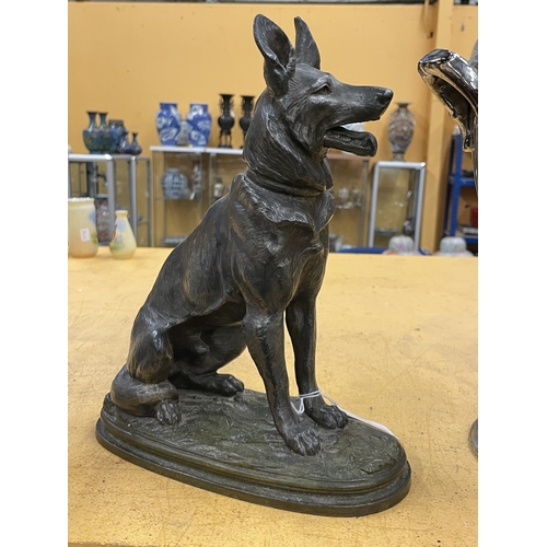 53 - A VINTAGE BRONZE MODEL OF AN ALSATION DOG, SIGNED