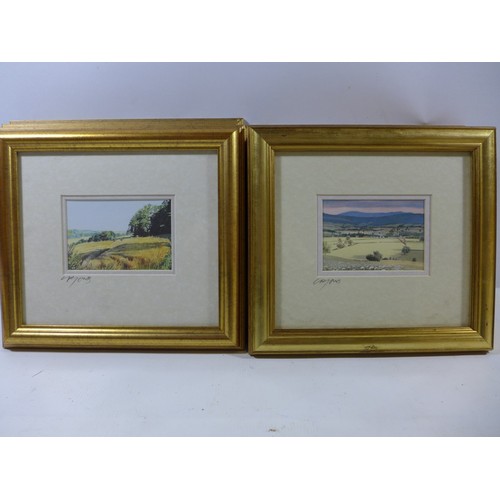 405 - A SET OF EIGHT SIGNED FRAMED AND GLAZED COLOURED PRINTS OF CITY AND COUNTRY SCENES, 9X12CM