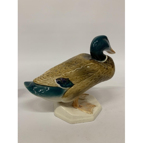 105 - A LARGE BESWICK DRAKE NUMBER 817 - A/F TO TAIL