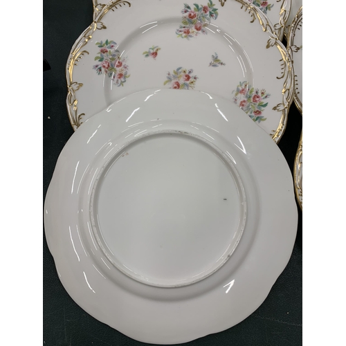 114 - A QUANTITY OF HANDPAINTED CABINET PLATES DWITH FLORAL DESIGN AND GILT EDGES