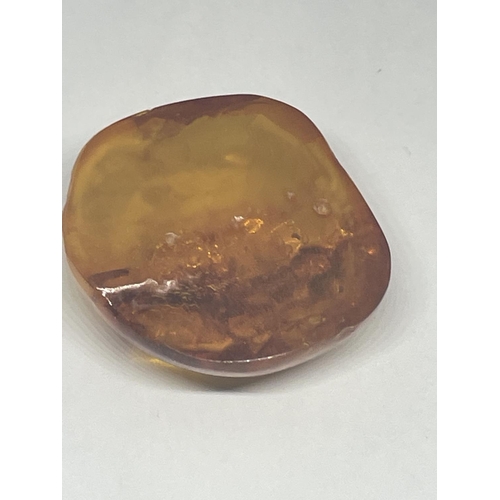 420 - A LARGE PIECE OF AMBER APPROXIMATLEY 4CM X 3.5CM