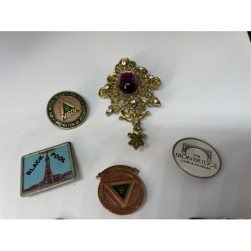 613 - TEN VARIOUS BROOCHES AND BADGES