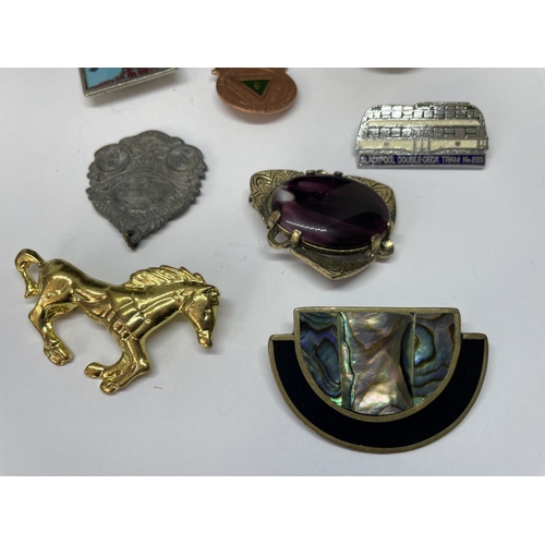 613 - TEN VARIOUS BROOCHES AND BADGES