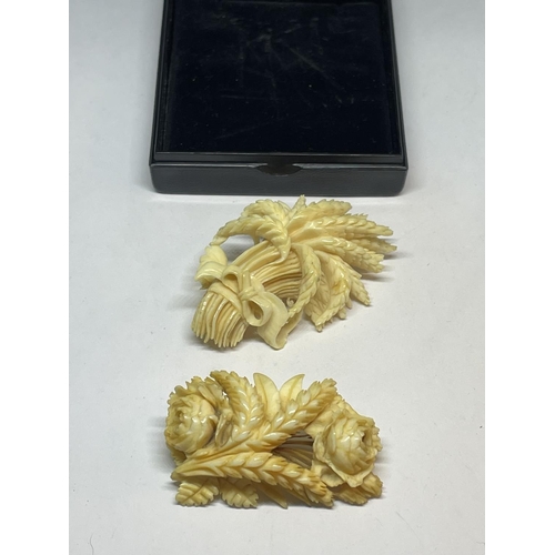 537 - TWO CARVED BONE BROOCHES IN A WHEATSHEAF DESIGN WITH A PRESENTATION BOX